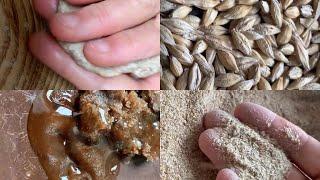 Making iron age style barley bread of Roman legionaries and gladiators