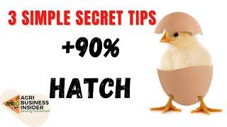 How to Get MORE THAN 90% of Eggs to HATCH  ( Egg Incubator )