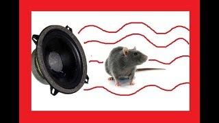 Remove the Rats - sound dissuader Mice and Rodent