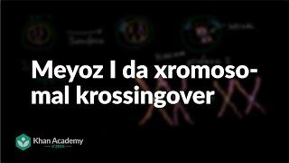 Meyoz I da xromosomal krossingover | Hujayra boʻlinishi | Biologiya