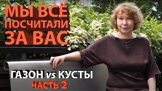 Ответы на вопросы зрителей