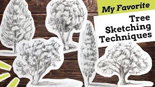 My Favorite Tree Sketching Techniques