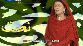 Naat: Muhammad Jo | Naheed Ali | SindhTVHD ISLAMIC