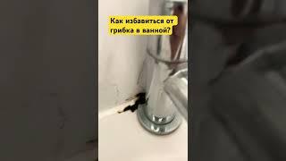 Как избавиться от грибка в ванной? Как избавиться от плесени в ванной? Удаление плесени в ванной.