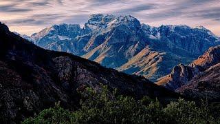 The best feeling walking In the morning (Nature Visualizer)