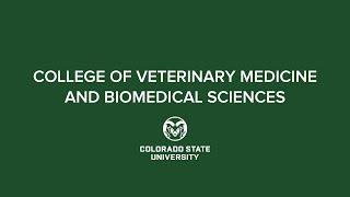 Fall 2020 Commencement | CSU College of Veterinary Medicine and Biomedical Sciences