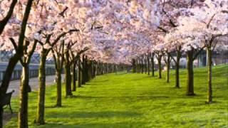 Spring. Antonio Vivaldi