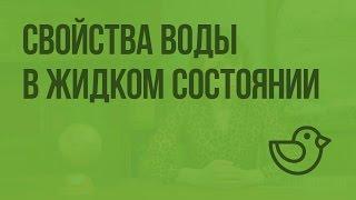 Свойства воды в жидком состоянии. Видеоурок по окружающему миру 3  класс