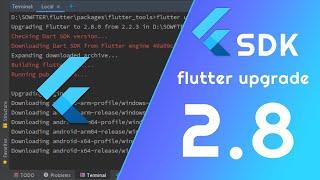 Flutter SDK - Upgrade flutter SDK 2.8