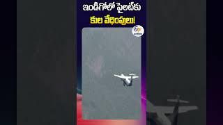 ఇండిగోలో పైలట్‌కు కుల వేధింపులు!