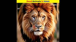 Good animals in Islam | Ehtisham Speaks #shorys #viral #shortsfeed