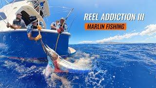 Hawaii Offshore Charter - Live Baiting Blue Marlin - 8 Hookups in One Day