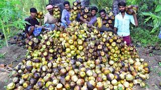 Natural palm tender (பனை நுங்கு) cutting and eating in my village | village model food