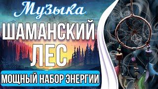 ⭕️Медитация - Шаманский Лес | Восстановление и Мощный Набор Энергии