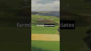 Why Farmland is a Hedge Against Inflation? #farmlandinvestment #farming #managedfarmland #investing
