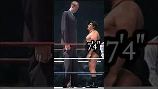 ANDRE THE GIANT AND ROBERT WADLOW FACE TO FACE #shorts