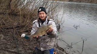 Ловим Леща!Плотву!#рыбалка #фидер #fishing #carpfishing #рыба #кино #природа #carp #fider #реки