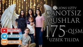 QANOTSIZ QUSHLAR 175 QISM TURK SERIALI UZBEK TILIDA | КАНОТСИЗ КУШЛАР 175 КИСМ УЗБЕК ТИЛИДА