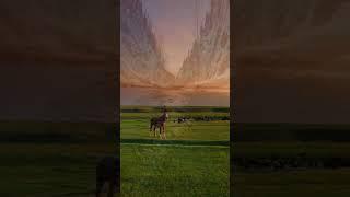 The beauty of nature