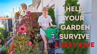 Gardening During a Heatweave - What You Should & Shouldn't Do With Plants