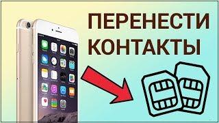 Как перенести контакты с iPhone на SIM-карту? Синхронизируем контакты с Gmail, копируем на сим-карту