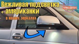 Вежливая подсветка в отечественных зеркалах. Американки и вежливая подсветка в зеркалах приора се.