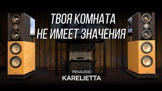 Обзор акустики из Финляндии Penaudio Karelietta