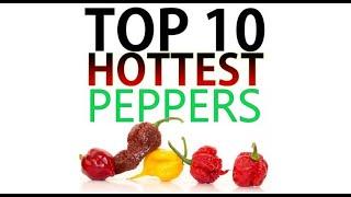 Top 10 Hottest Peppers In The World [2022 Update]