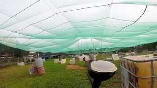 paintball singapore.