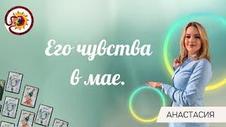 Его чувства в мае. Общий расклад. Анастасия Шучалина