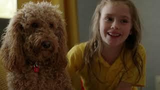 Waffle With Benji? | Waffle the Wonderdog | Live Action Videos for Kids | WildBrain Zigzag