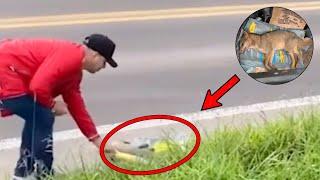 The trash man didn't know he was being filmed. What he did to the fox was shocking.