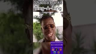 @ShabbaRanksVEVO @jjmusiclover75 @blackcultureradio8717 #shabba