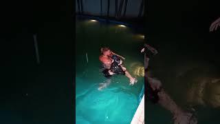 A Aninha Afogou a Júlia na Piscina #shorts