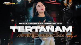 DJ TERTANAM X RUTINITAS RADONG - SPECIAL FORPARTY KARNAVAL 2024 - STYLE NGENTOP MELODY NULUP TERBARU