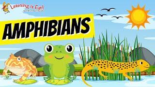 AMPHIBIANS | ANIMALS | SCIENCE FACTS FOR KIDS