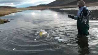 First Swim of robot in Colour Lake, Axel Heiberg