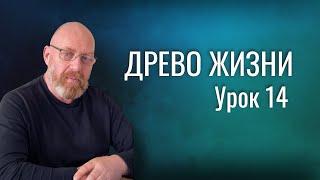 ДРЕВО ЖИЗНИ Урок 14