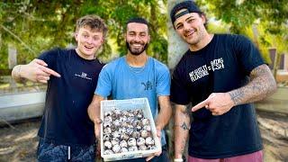 I Found 100 Baby Tortoise eggs With PAUL CUFFARO! “INSANE”