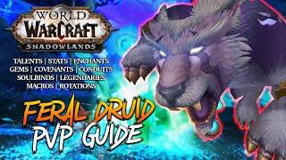 9.0 FERAL DRUID PvP GUIDE - Talents, Stats, Covenants, Soulbinds, Macros, Rotations WoW: Shadowlands