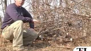 Wildlife habitat series: Brush pile - timesleader.com