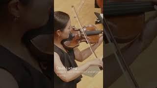 David Ludwig - Seasons Lost for two violins and strings #classicalmusic #orchestra #DavidLudwig
