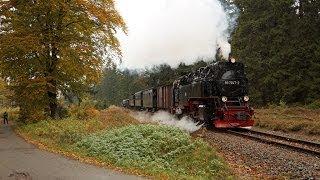 Kleinbahnromantik 2013 - 99 7247 mit PmG von Wernigerode nach Gernrode