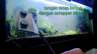 cara membersihkan aquascape untuk pemula # Aquascape Scrapper Tool for beginners