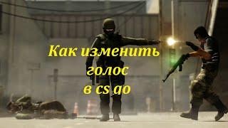 Как изменить голос в cs go