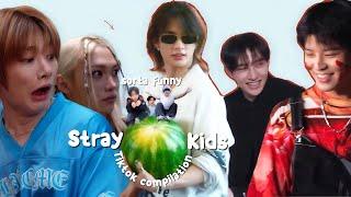 Stray kids tiktok compilation (sorta kinda funny ver.)