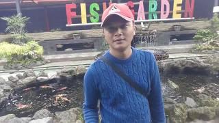 "Aquarium Fish Garden Blitar" HERI DWI PURNOMO