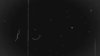 Videli Free Footage - old film grain overlay -Video-Audio footage HD Free
