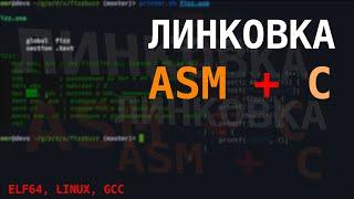 Программа на С с линковкой функций на ASM