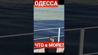 ОДЕССА️11.05.2023️ЧТО ЭТО в МОРЕ️ #odessa #одесса #море